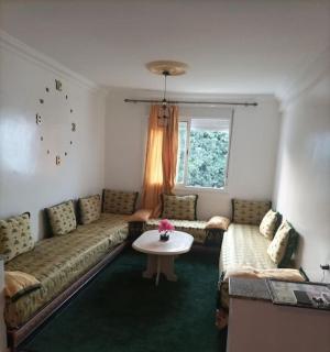 Appartement foret diplomatique - 8