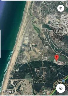 Appartement foret diplomatique - 1