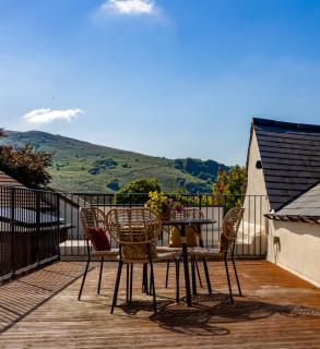 Meldon View - Period Apartment & Roof Terrace - 9