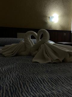 Hotel Flamingo - Mar del Plata - 4
