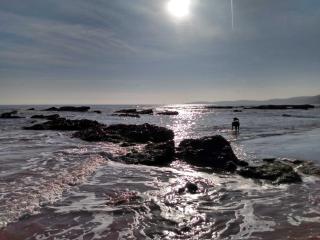 Umbrella Pines - Clifftop Home, stunning Views - Teignmouth - 6