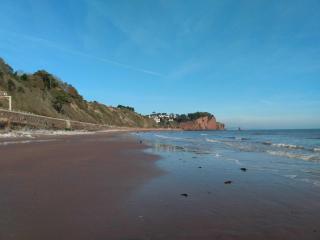 Umbrella Pines - Clifftop Home, stunning Views - Teignmouth - 5