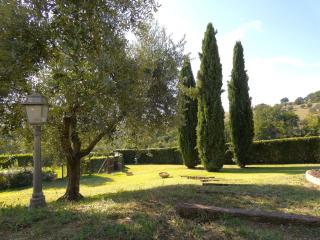 Scappo in Umbria, La dolce Godera - Lugnano in Teverina - 4