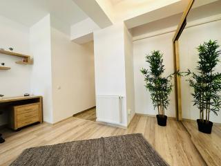 Studio Luxury Center - Iaşi - 8