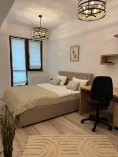 Studio Luxury Center - Iaşi - 3