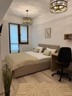 Studio Luxury Center - Iaşi - 2