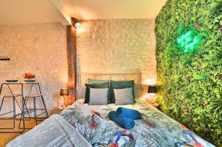 Jungle Rochelaise - Coeur de ville, Entièrement Rénovée, Tv 4K, Fibre, Quartier Porte Royale - 8