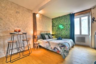 Jungle Rochelaise - Coeur de ville, Entièrement Rénovée, Tv 4K, Fibre, Quartier Porte Royale - 0