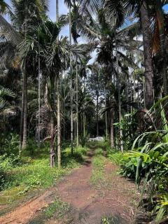 Palm Stays 3 acres vibrant greenary Vacation home - Dod Ballāpur - 8