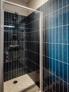 Maison Bleue Est 12 personnes - Saint-Julien-en-Born - 5