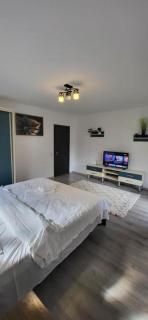 AVDK Apartament - Sînpetru - 8