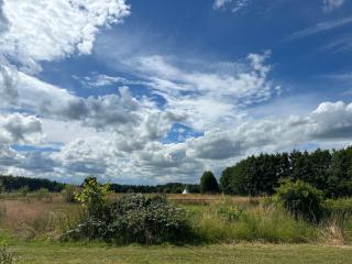 Stevns Camp - Strøby - 8