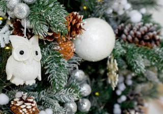 Cosy Garden Flat, Private Hot Tub & Four Poster Bed - 3