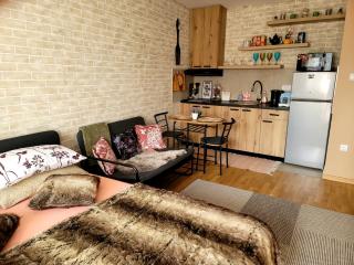 Apartman "CHARLIZE" with PRIVATЕ PARKING - Novi Sad - 9