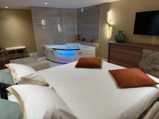 Spa Suite Vichy LOFT - Vichy - 4