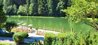 Hotel Bad Neunbrunnen am Waldsee - non Halal - Maishofen - 8