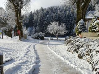 Hotel Bad Neunbrunnen am Waldsee - non Halal - 1