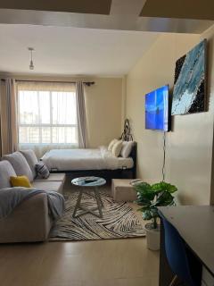 Spacious Studio apartment in Ngara 1km to Nairobi CBD - Nairobi - 7