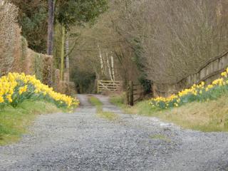 Alltybrain Farm Cottages - 1