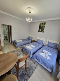 Taksim Millennium Suit Hotel - Istambul - 6