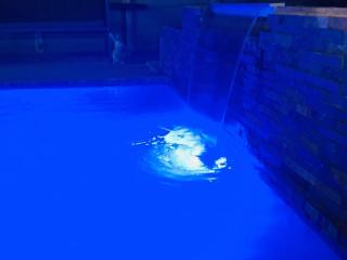 Monet Guesthouse - 5