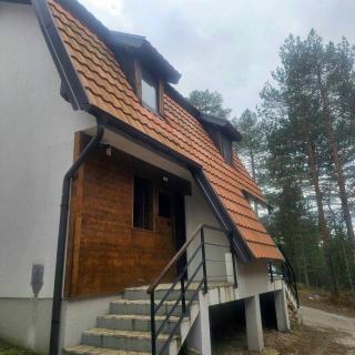 Šumor šume - Tara 2 - Kaludjerske Bare - 8
