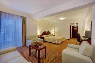 Hotel Citrin - Adults Only - Brasov - 2