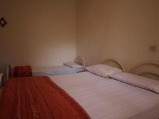 Comfy flat in a quiet area of Rosolina - 4