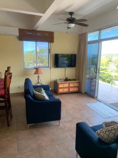 Buena Vista Coco - 8