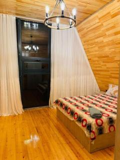 Mono House Qabala Vendam A frame - Gabala - 6