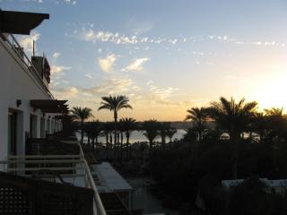Oonas Dive Club - Scharm asch-Schaich - 1