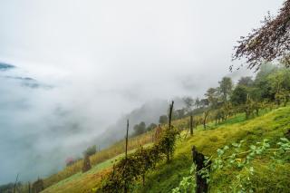 Guest House Mokvare - 5