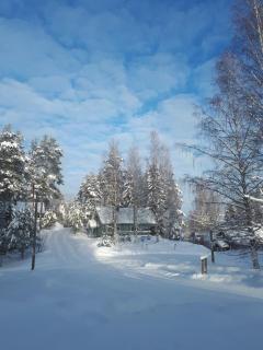TAHKOn Riihiranta - 4 bedroom villa with lake view - Tilava mökki rantanäkymin - 3
