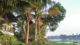Lake and Paddy Backwater Hostel - Alappuzha - 2