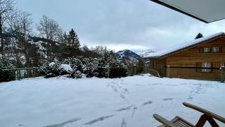 Luxurious Flat with Jacuzzi Sauna - Schönried - 6