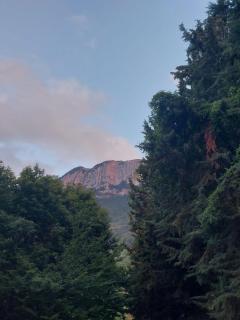 Agriturismo Quota 700 - Sicignano degli Alburni - 6