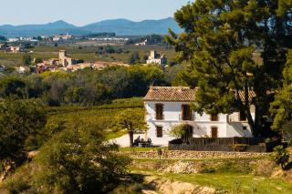 Mas Grimosach - Masía en finca y bodega ecológica - Adults Only - Sant Pau dʼOrdal - 0
