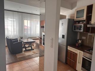 Vila Danin with free garage,Stari grad - Sarajevo - 3