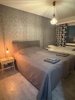 Arctic central home - Rovaniemi - 1