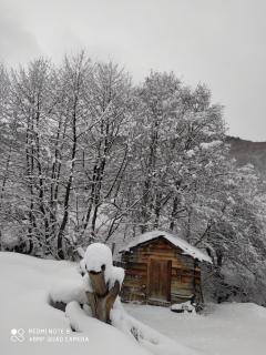 Gujejiani Guest house - 5