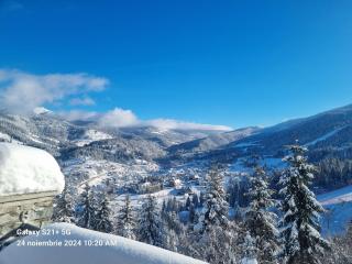 Cabanele Borsa View - 1