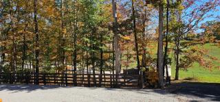 Sugar Bear Cabin with boat parking 5 mins to State Park & golf - Burkesville - 8