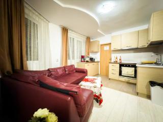 Casa Danut - Vişeu de Jos - 2