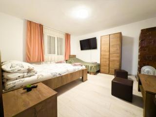 Casa Danut - Vişeu de Jos - 1