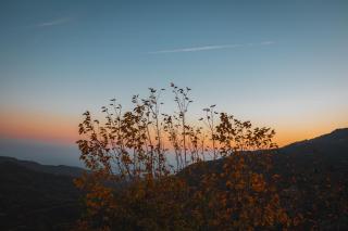 Nephèle - The Embrace of Hospitality - Ierapetra - 7
