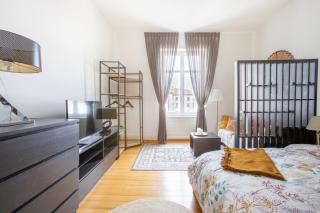 Bel appartement centre-ville - Mulhouse - 6