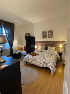 Bel appartement centre-ville - Mulhouse - 2