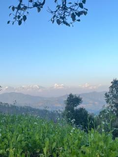 Himadvaya- The Himalayan Prism - Almora - 5