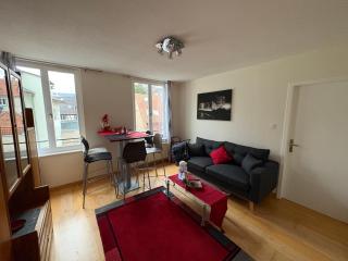 Appart 3P 57 m2 Le Coeur de la Krutenau Strasbourg - 6