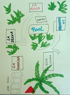 Selva Linda Lodge jungle wildlife vue and birdwatching - 9